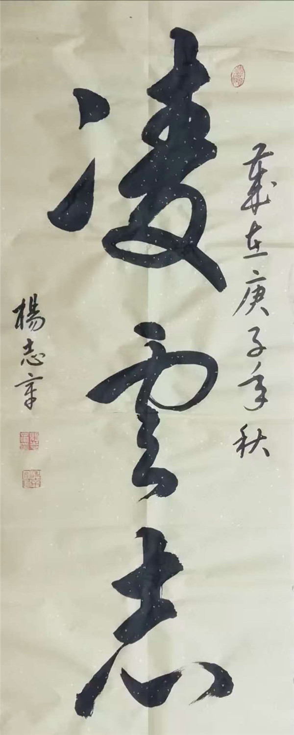 杨志章作品